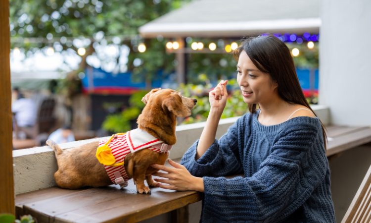 cafe pet-friendly di BSD GoBSD